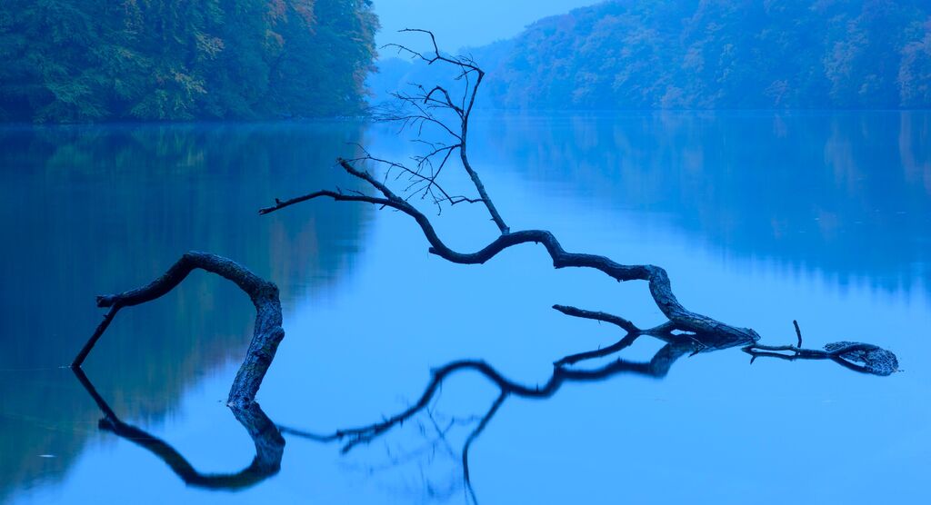 Mecklenburgische Seenplatte mit herbstlichem Uferwald, ruhigem See und einem Ast im Wasser, der sich in der glatten Oberfläche spiegelt